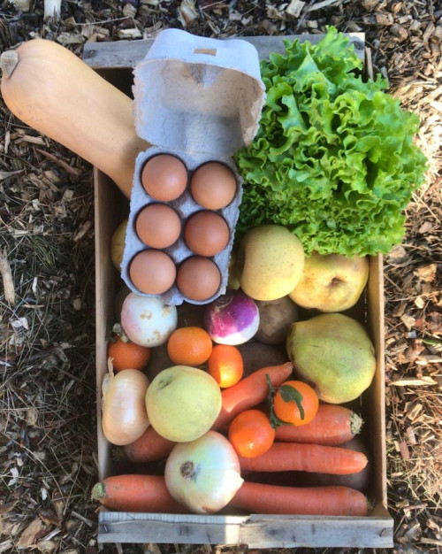 PANIER DE FRUITS ET LEGUMES DE SAISON 3
