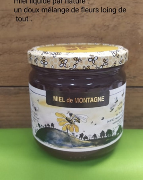 Miel Montagne liquide 500 gr (France)