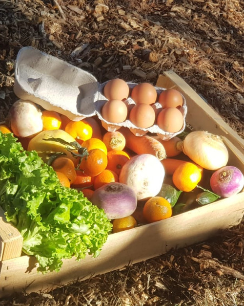 PANIER DE FRUITS ET LEGUMES DE SAISON 2