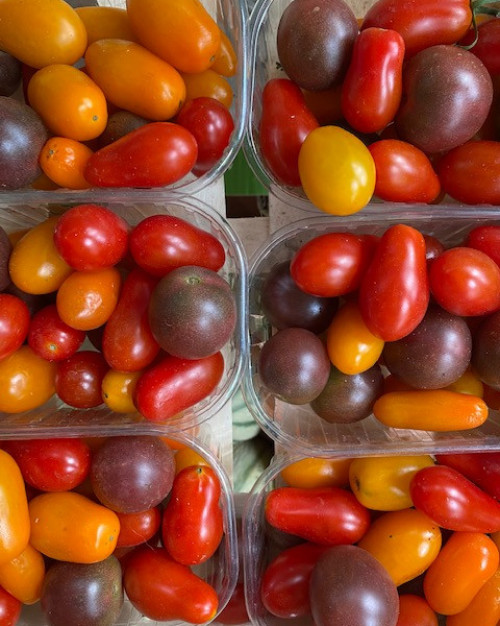 Tomates cerises