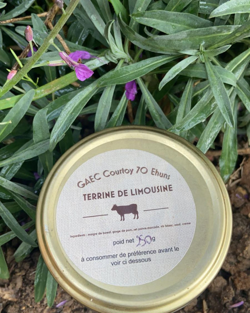 Terrine de Limousine 