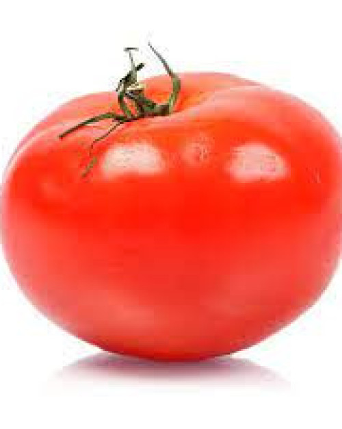 TOMATE RONDE FRANCE REG