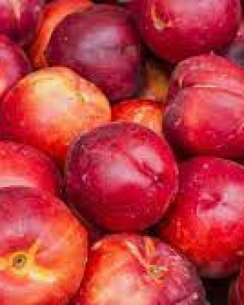 NECTARINE