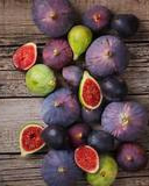 FIGUES FRANCE