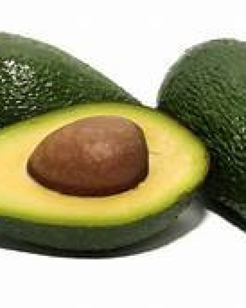 Avocat 