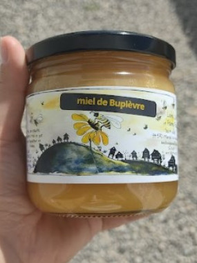 Miel de Buplèvre crémeux 500 gr
