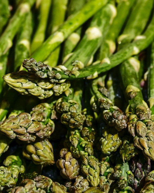 ASPERGES Moyennes