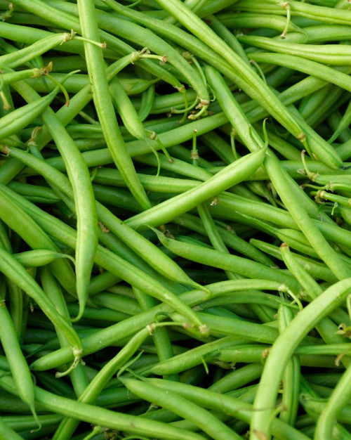 Haricots verts 