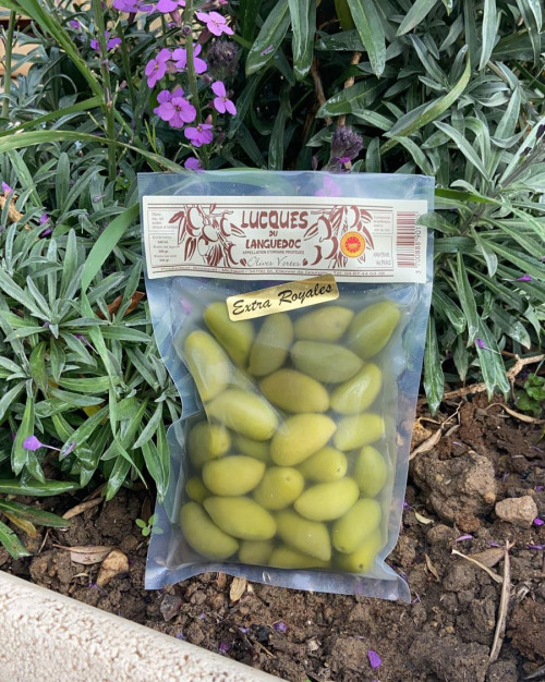 Grosse Olive Luques du Languedoc 
