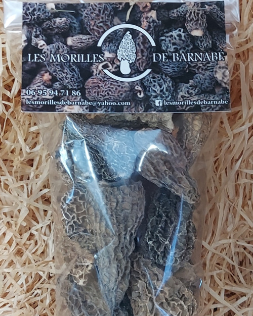 Morilles
